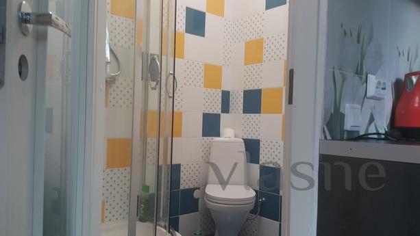 Studio apartment in a private house, Saint Petersburg - apartment by the day
