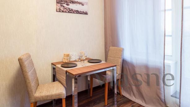 1 bedroom apartment for rent, Saint Petersburg - apartment by the day