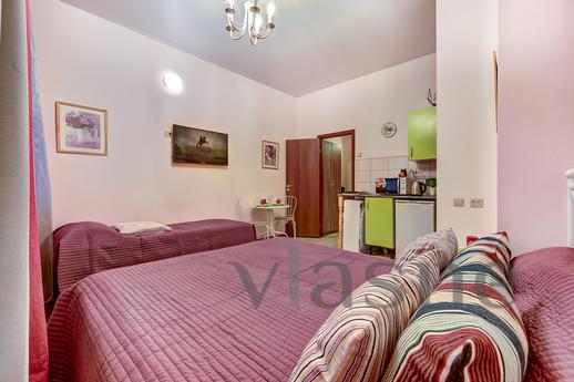 Daily Socialist 13, Saint Petersburg - apartment by the day
