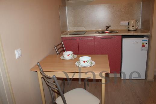 Circus, Greenwich, SUMMIT, Koltsovo, Yekaterinburg - apartment by the day