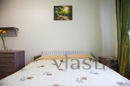 Excellent 1 bedroom apartment, Saint Petersburg - apartment by the day