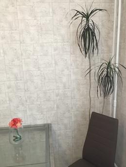 Daily rent Novocheremushkinskaya 8, Moscow - apartment by the day