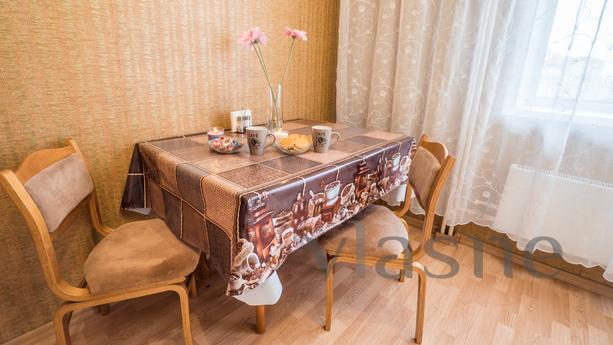 Cozy apartment near the metro, Saint Petersburg - apartment by the day