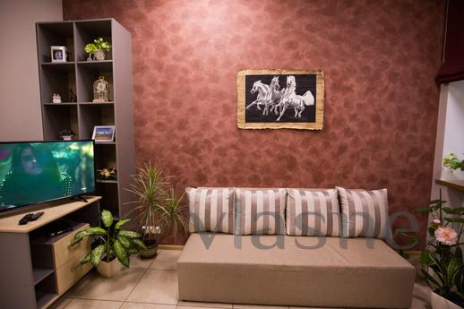 European level hostel, Saint Petersburg - apartment by the day