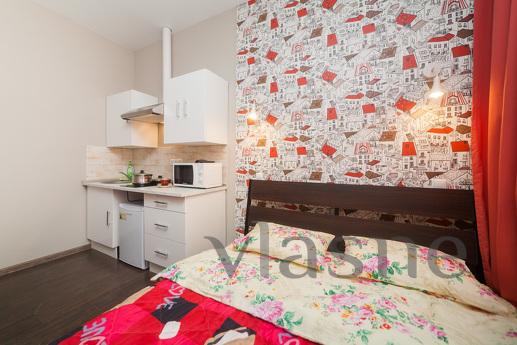 Description Modern studio with designer renovation in the re