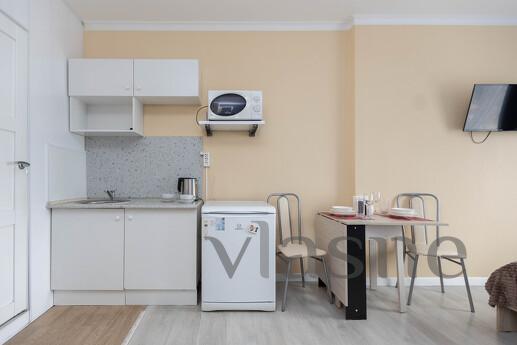 Cozy studio on Lipovaya Roshcha, Moscow - apartment by the day