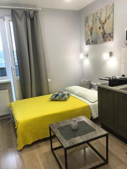 Cozy studio on Skolkovskaya 5a, Odintsovo - apartment by the day