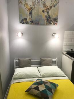 Cozy studio on Skolkovskaya 5a, Odintsovo - apartment by the day