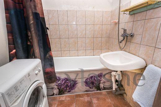 Clean and comfortable 1-kk apartment, Moscow - apartment by the day