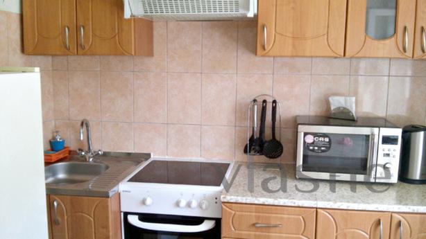 1 bedroom apartment in the center of Nov, Novosibirsk - apartment by the day