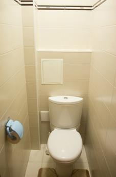 2 rooms apartment in the center of Novos, Novosibirsk - apartment by the day
