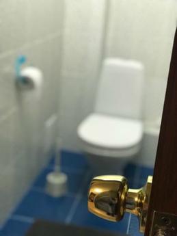 3 bedroom apartment, Novosibirsk - apartment by the day
