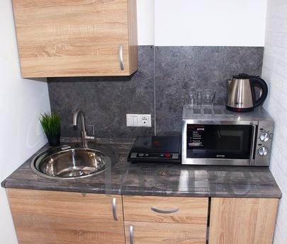 Rent Studio 16 sq.m. in the queen, Moscow - apartment by the day