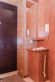 Cozy apartment near the metro, Novosibirsk - apartment by the day