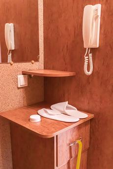 Cozy apartment near the metro, Novosibirsk - apartment by the day