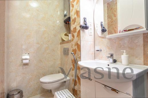 A huge bright apartment on Pestel, 14, Saint Petersburg - apartment by the day
