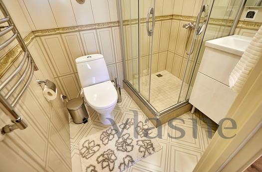 Italian 11, Saint Petersburg - apartment by the day