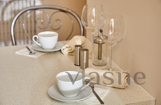Italian 11, Saint Petersburg - apartment by the day