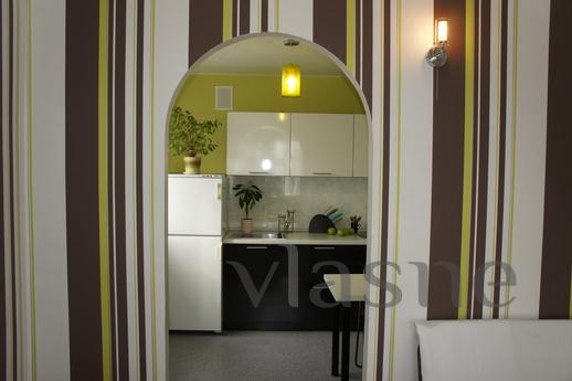 Center Yekaterinburg, good repair, Wi-Fi, Yekaterinburg - apartment by the day