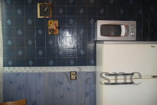 Daily 2kkv standart.m.Avtovo class., Saint Petersburg - apartment by the day