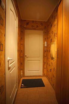 Comfortable apartment in the city center, Izhevsk - apartment by the day
