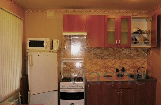 Apartment in the center of St. Petersbur, Saint Petersburg - apartment by the day