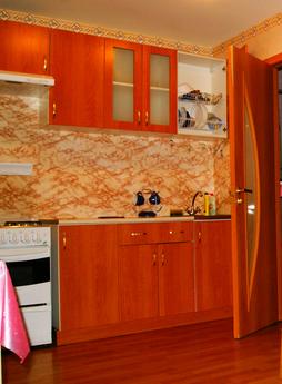 Apartment in the center of St. Petersbur, Saint Petersburg - apartment by the day
