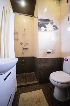 design studio in the center, Saratov - apartment by the day