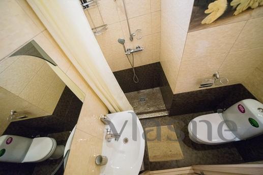 design studio in the center, Saratov - apartment by the day