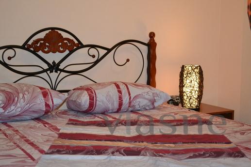 design studio in the center, Saratov - apartment by the day