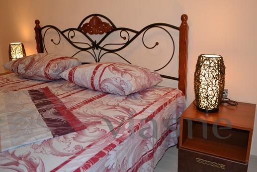 design studio in the center, Saratov - apartment by the day