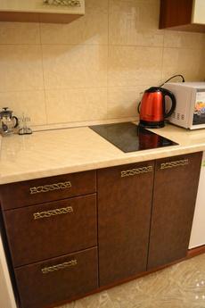 design studio in the center, Saratov - apartment by the day