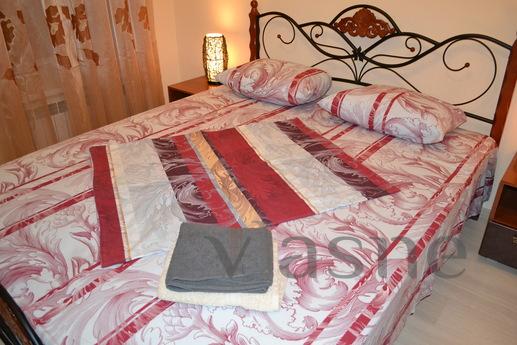 design studio in the center, Saratov - apartment by the day