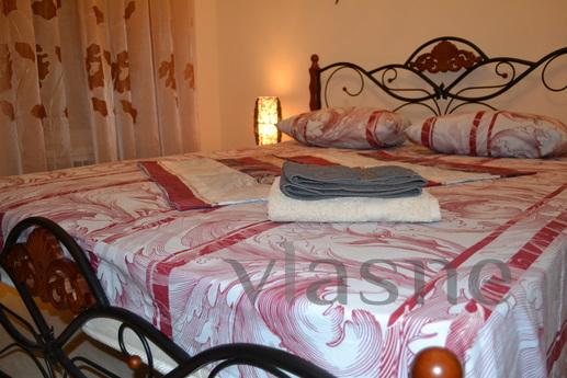 design studio in the center, Saratov - apartment by the day