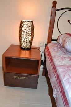 design studio in the center, Saratov - apartment by the day