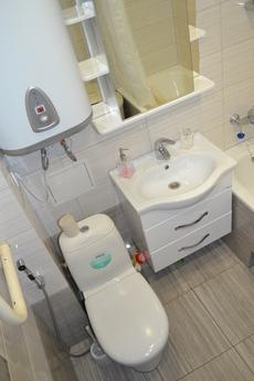 1BR with French windows at the park 1BR with French windows at the park, Saratov - apartment by the day