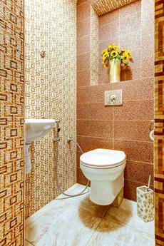 Studio on Nevsky Prospect, Saint Petersburg - apartment by the day