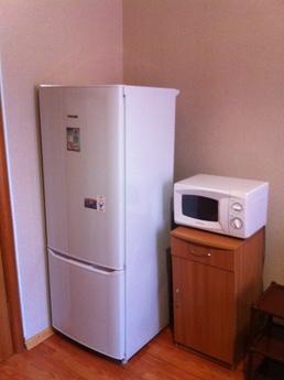 1 bedroom apartment for rent, Saint Petersburg - apartment by the day