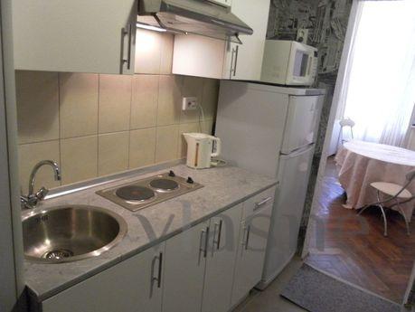 three two-level square-ry center of St., Saint Petersburg - apartment by the day