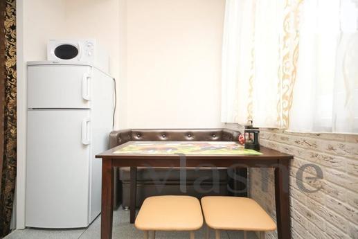 One bedroom studio apartment in the cent, Moscow - apartment by the day