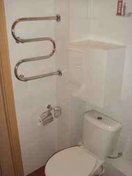 Studio apartment in the Central District, Moscow - apartment by the day