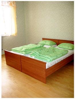 3 bedroom apartment in Balashikha, Balashikha - apartment by the day