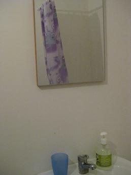 2-bedroom apartment for rent, Balashikha - apartment by the day