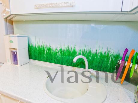 1 bedroom apartment for rent, Tyumen - apartment by the day