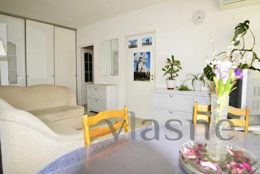 Large 3 bedroom apartment for rent, Yekaterinburg - apartment by the day
