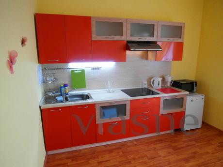 Large one bedroom apartment, Yekaterinburg - apartment by the day