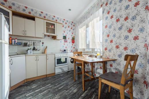 1k apartment on Vasilevsky Island, Saint Petersburg - apartment by the day