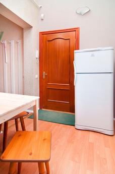 The apartment is 300m from the Hermitage, Saint Petersburg - apartment by the day