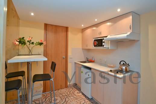 Cozy 1 bedroom apartment in the center, Saint Petersburg - apartment by the day