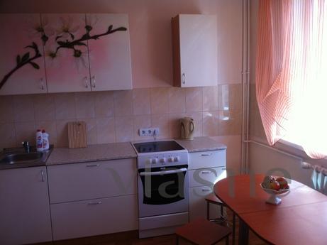 Luxury apartment close to Piskunova Str, Irkutsk - apartment by the day